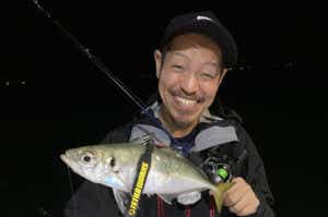 アジングの釣果写真