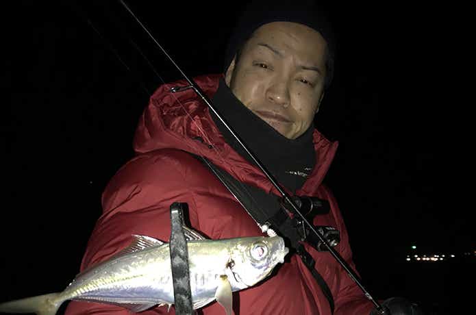 冬のアジング釣果写真
