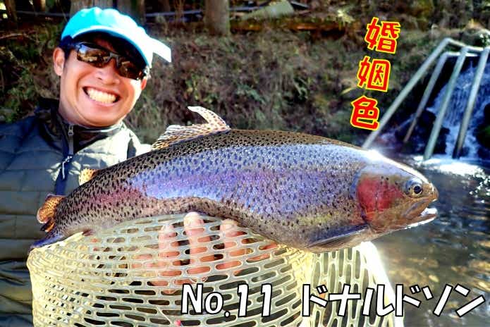 日本イワナセンター　ドナルドソン