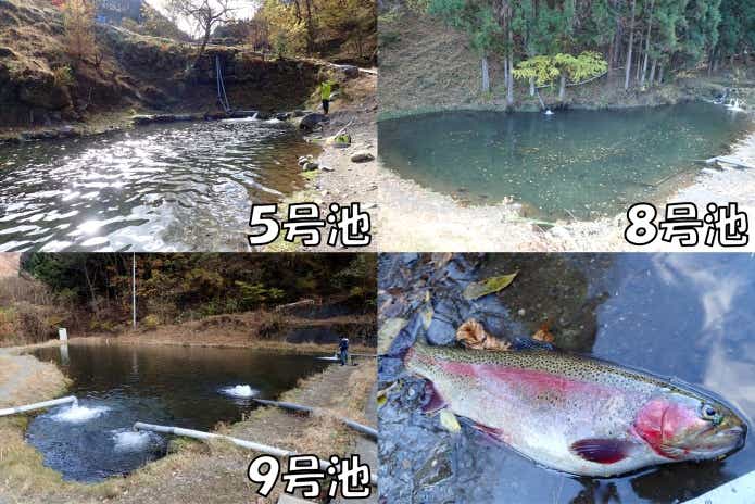 日本イワナセンター　ポンド