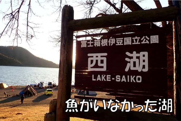西湖 クニマス