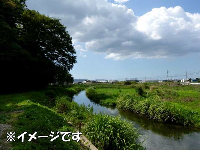 タナゴ　小川