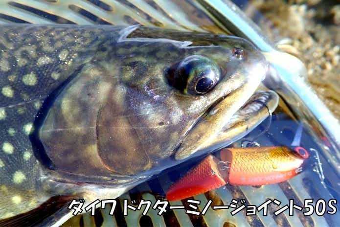 日本イワナセンター　釣れたルアー