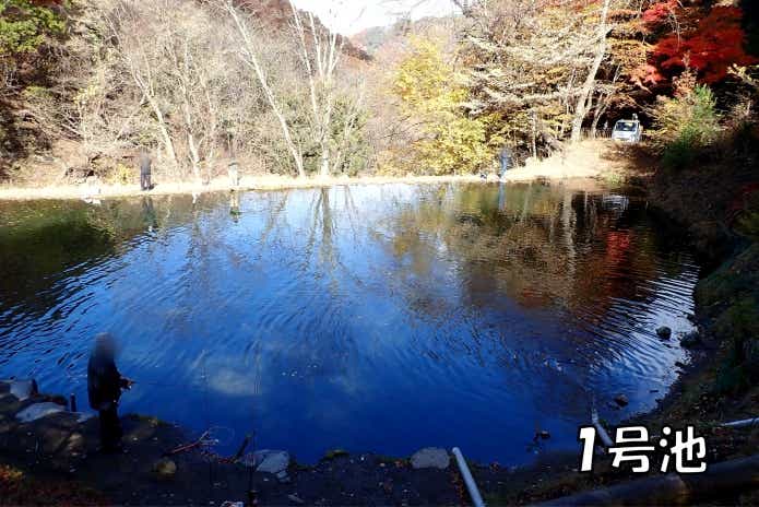 日本イワナセンター　1号池