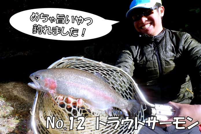 トラウトサーモン　日本イワナセンター