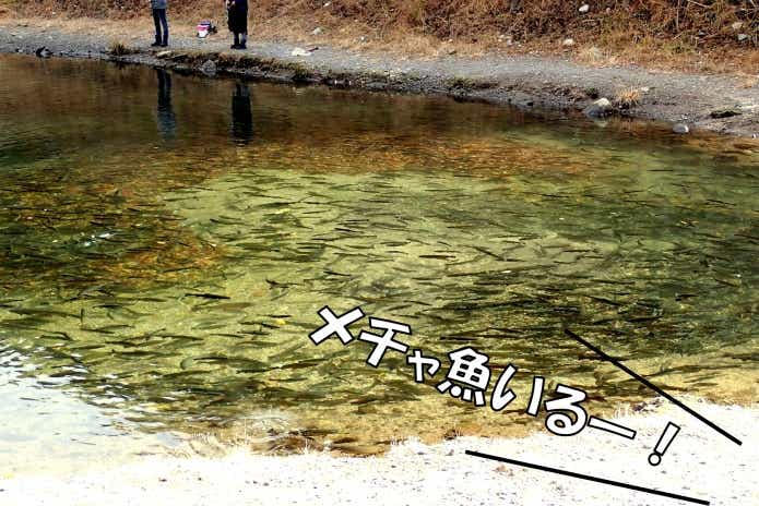 日本イワナセンター　0号池