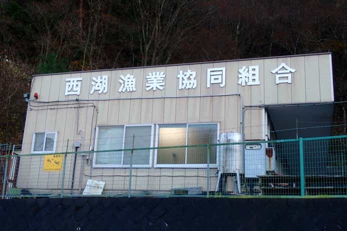 西湖 漁業協同組合