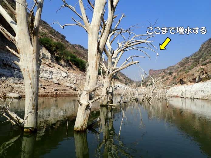リザーバー 水位