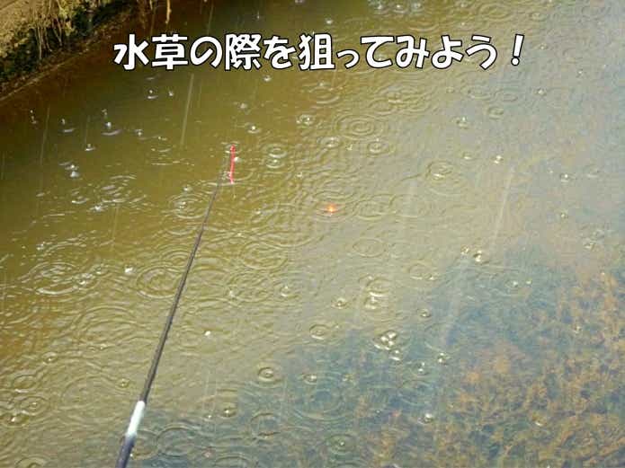 カネヒラ　釣れる　ポイント