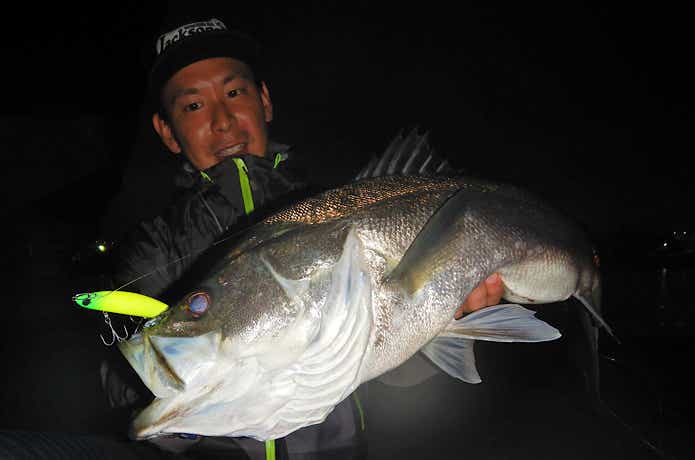 大型ベイトパターンにオススメ】大型シーバスルアー11個セット