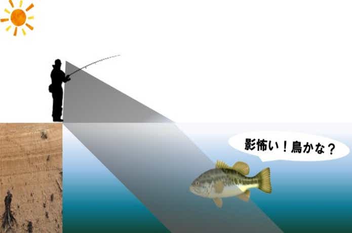かげ