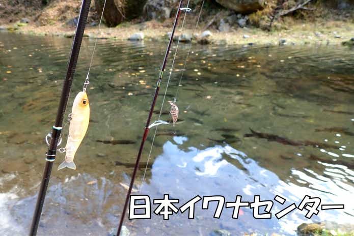 日本イワナセンター