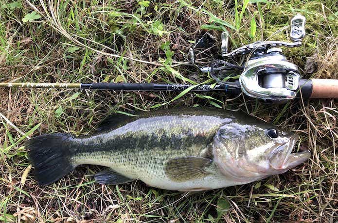 ジェットセッター【冒険用品】ソルトもバスもこれ一本。多魚種対応な