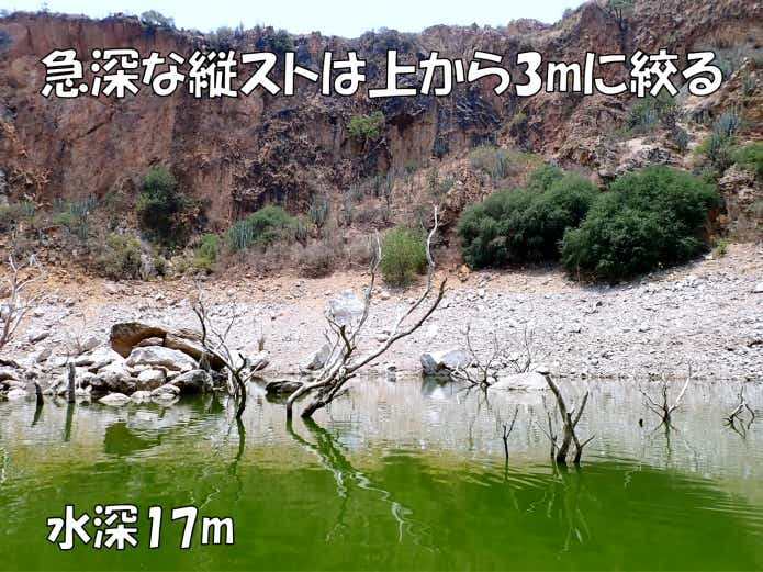 リザーバー 立木 縦スト
