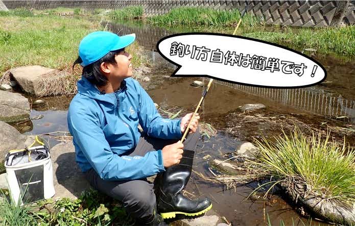 カネヒラ　釣り方