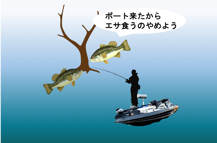 ボートポジション