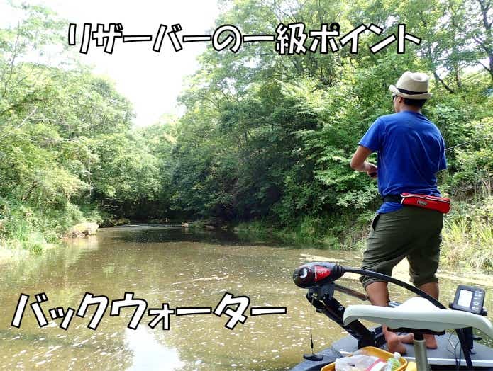 リザーバー バックウォーター