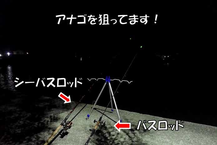 ブッコミ釣り タックル