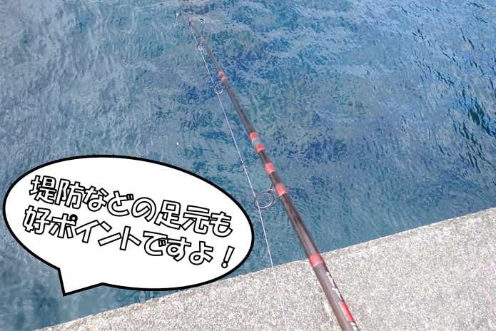 ブッコミ釣り 足下