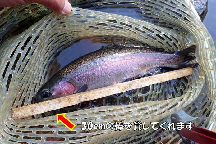 日本イワナセンター　持ち帰り