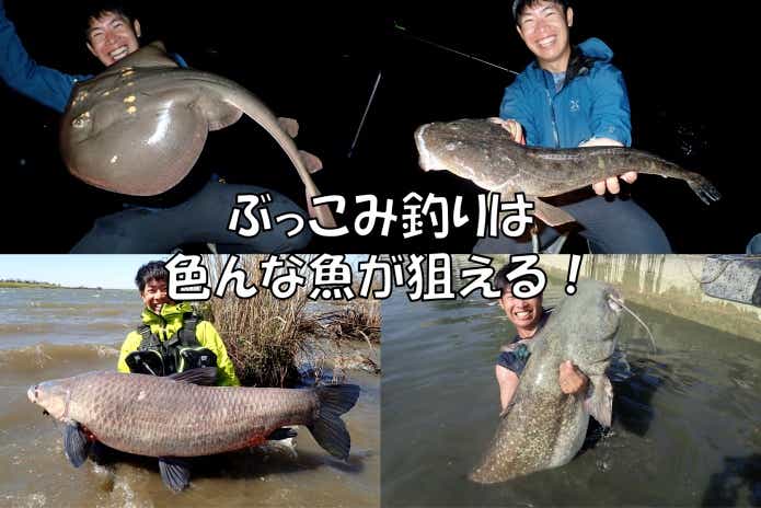 ブッコミ釣り いろんな魚