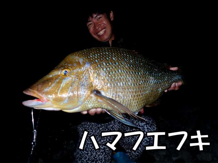 ブッコミ釣り 釣れる魚 タマン