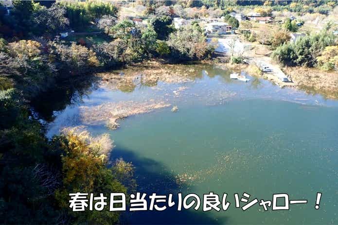 春 リザーバー