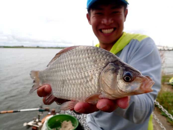 コイフナ　釣り
