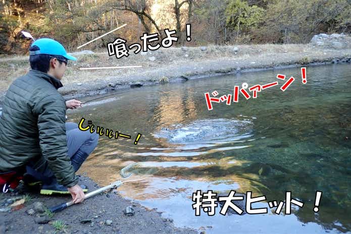 日本イワナセンター　ファイト