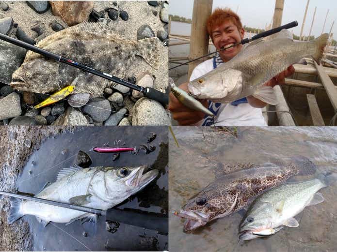 ジャーク　釣った魚