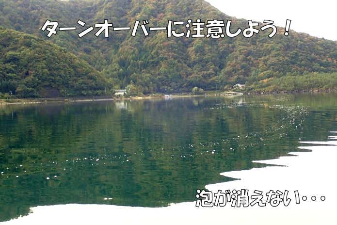 リザーバー 秋 ターンオーバー