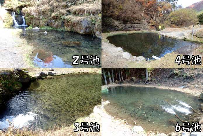 日本イワナセンター　初心者オススメ池