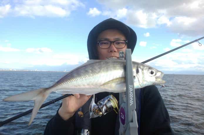 宵姫 AJカスタムで釣ったアジ