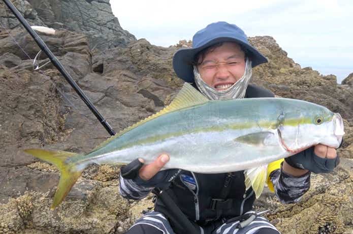 ミュート スアキュラ100Hで釣った青物