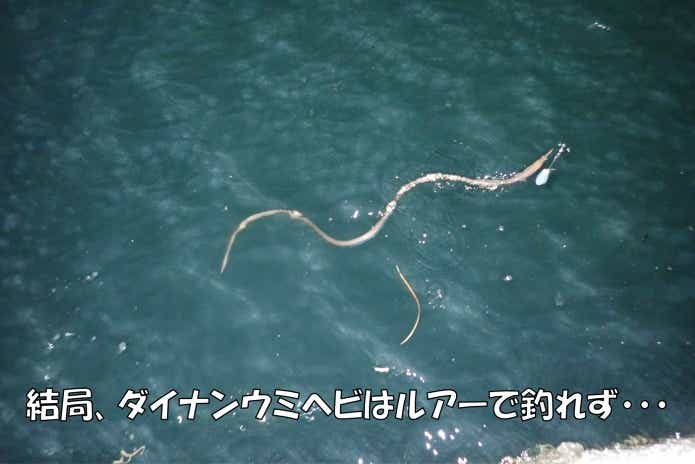 ダイナンウミヘビ
