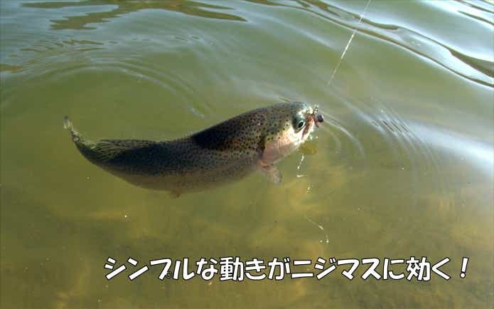 管理釣り場のトラウト　ブング