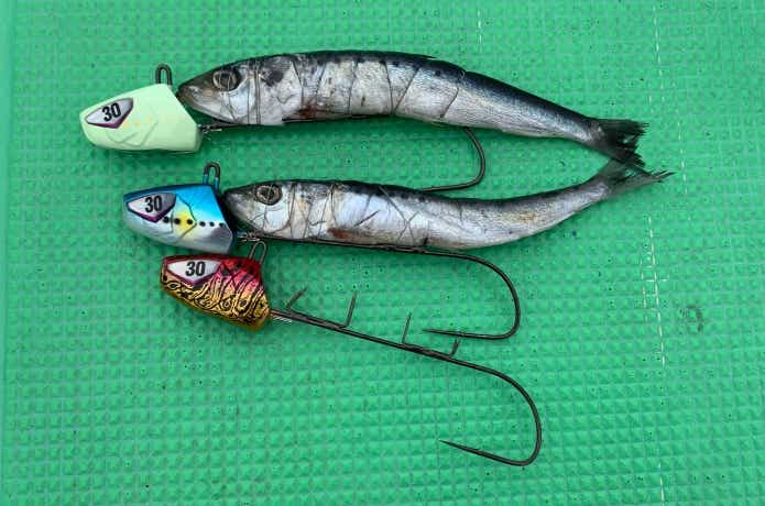 タチウオテンヤの画像