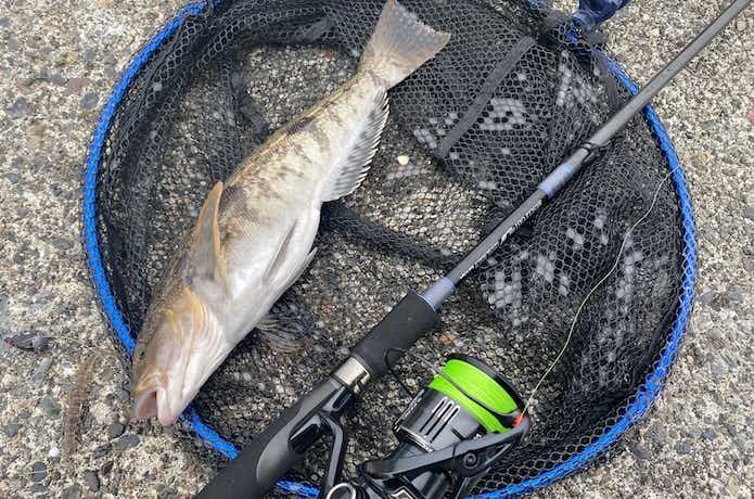 港湾部・漁港のロングスピニングタックル