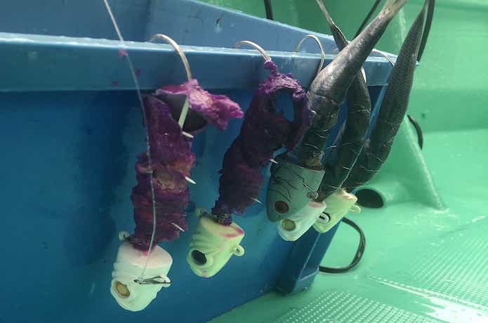 タチウオテンヤの画像