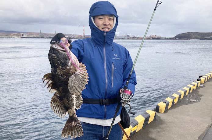 カジカ