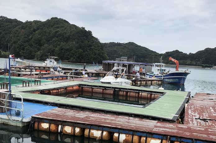 海上釣堀の画像
