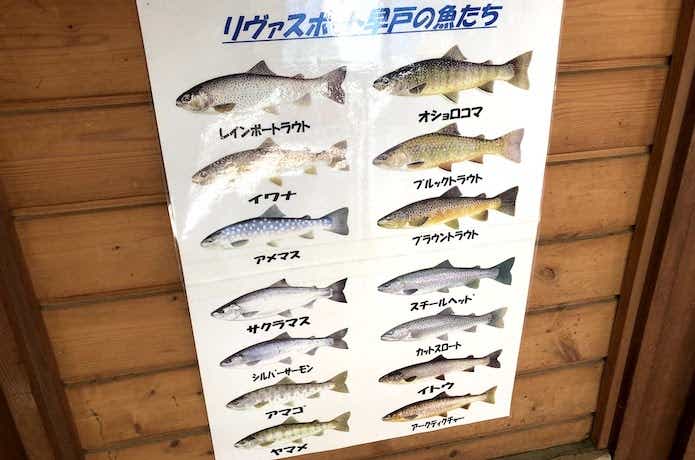 リヴァスポット早戸　魚種