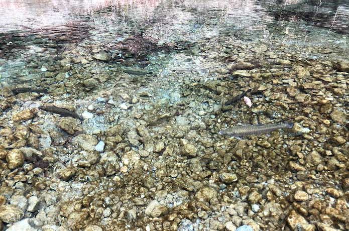 リヴァスポット早戸　水深