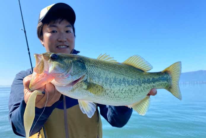 琵琶湖　バス