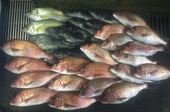 海上釣堀の画像