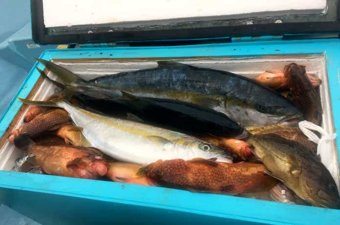 釣りいこか倶楽部　釣りプラン