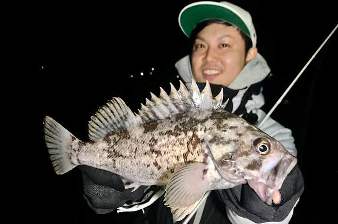 イカ頭巾の釣果