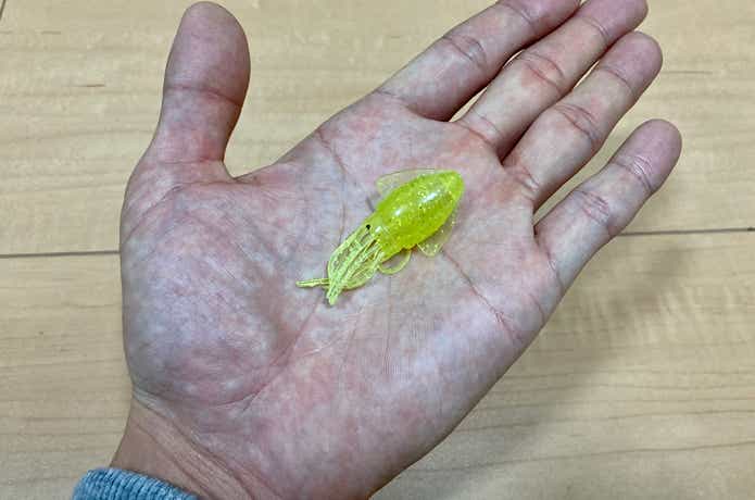イカ頭巾