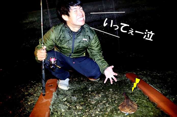 シビレエイ