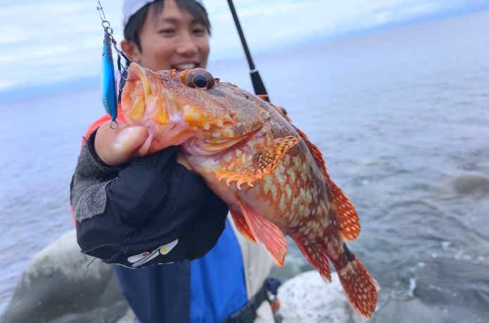 ショアジギングの画像